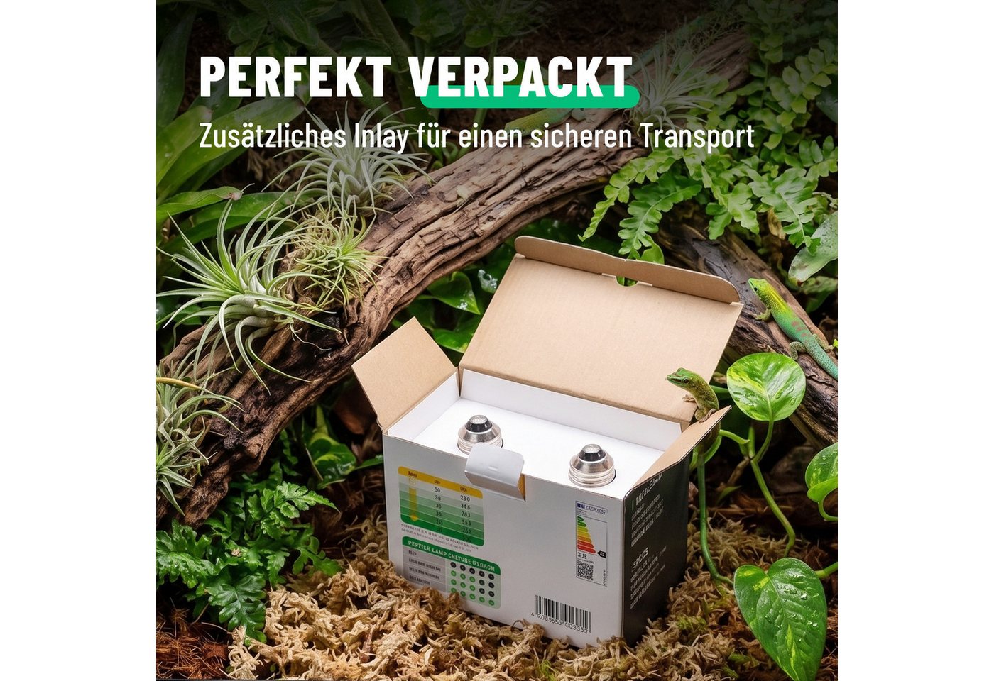 greate. Terrarienleuchte UVA Terrarium Lampe E27 50W - 4er Pack Reptilien Wärmelampe, warmweiß Bild 3