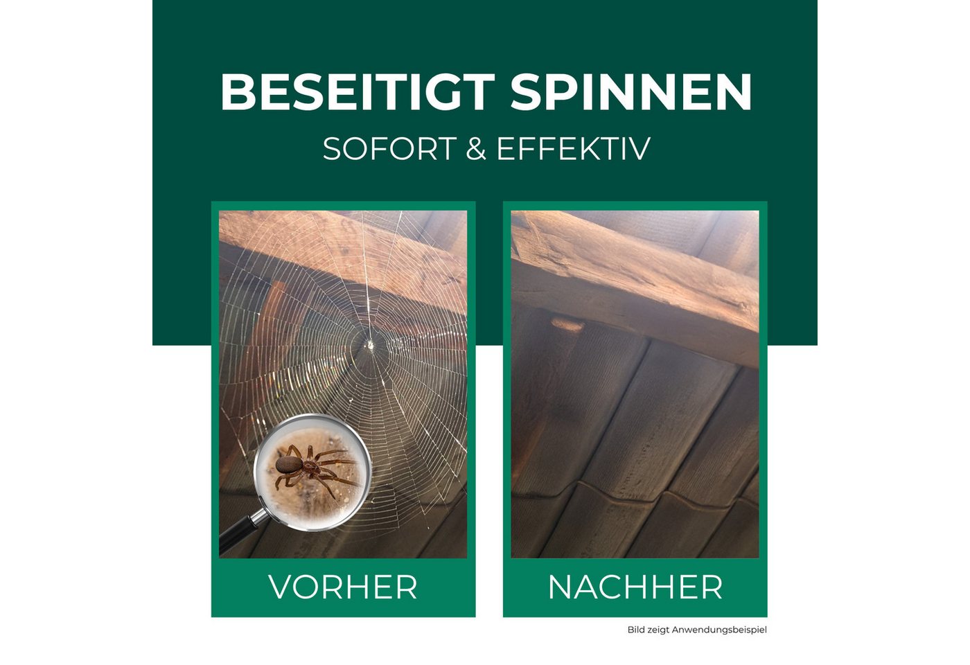 Silberkraft Insektenspray Spinnenspray 500 ml inkl. Gratis E-Book Gebrauchsfertiges Spray, Gezielt auf Ecken, Ritzen, Spalten oder hinter Möbeln sprühen, 1-St., Pumpspray: für sofortige & präzise Handhabung, Abwehr von Spinnen in Wohnräumen, Kellern & an Fensterrahmen