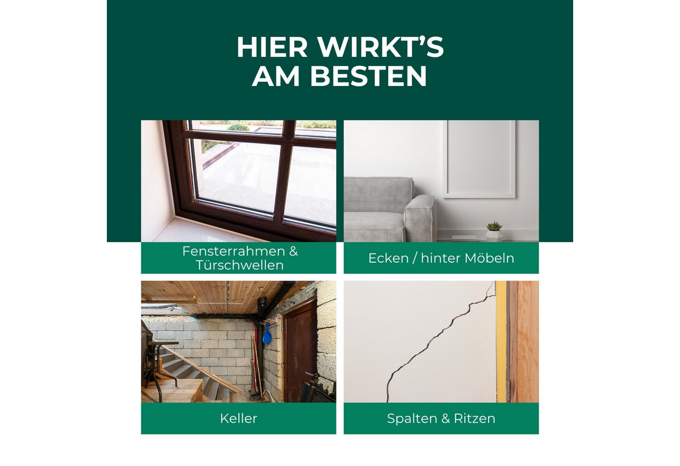 Silberkraft Insektenspray Spinnenspray 500 ml inkl. Gratis E-Book Gebrauchsfertiges Spray, Gezielt auf Ecken, Ritzen, Spalten oder hinter Möbeln sprühen, 1-St., Pumpspray: für sofortige & präzise Handhabung, Abwehr von Spinnen in Wohnräumen, Kellern & an Fensterrahmen Bild 3