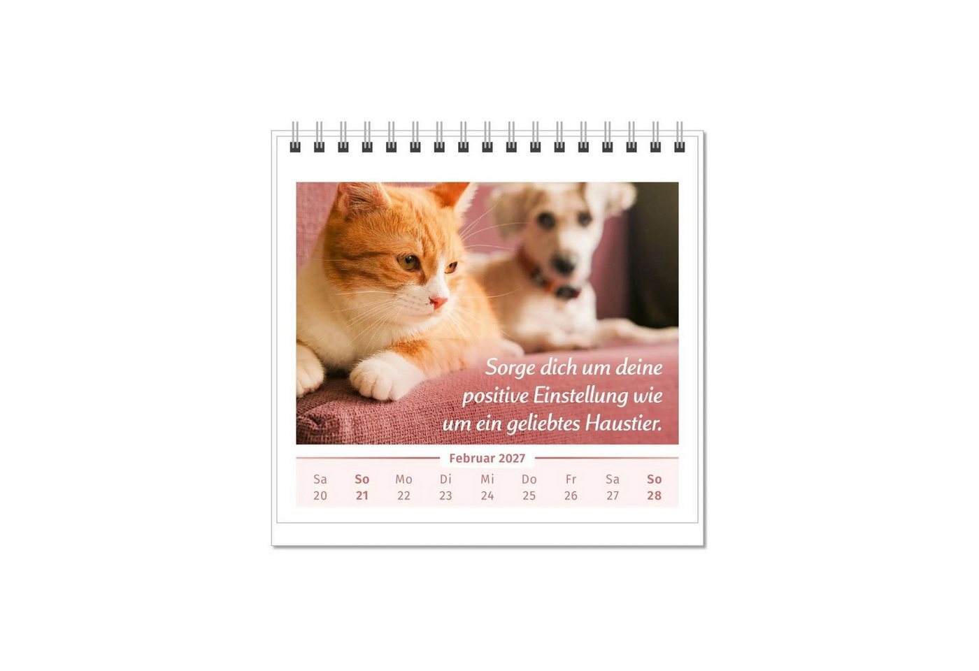 Tischkalender Der Lebensfreude-Tischkalender 2027 Bild 4