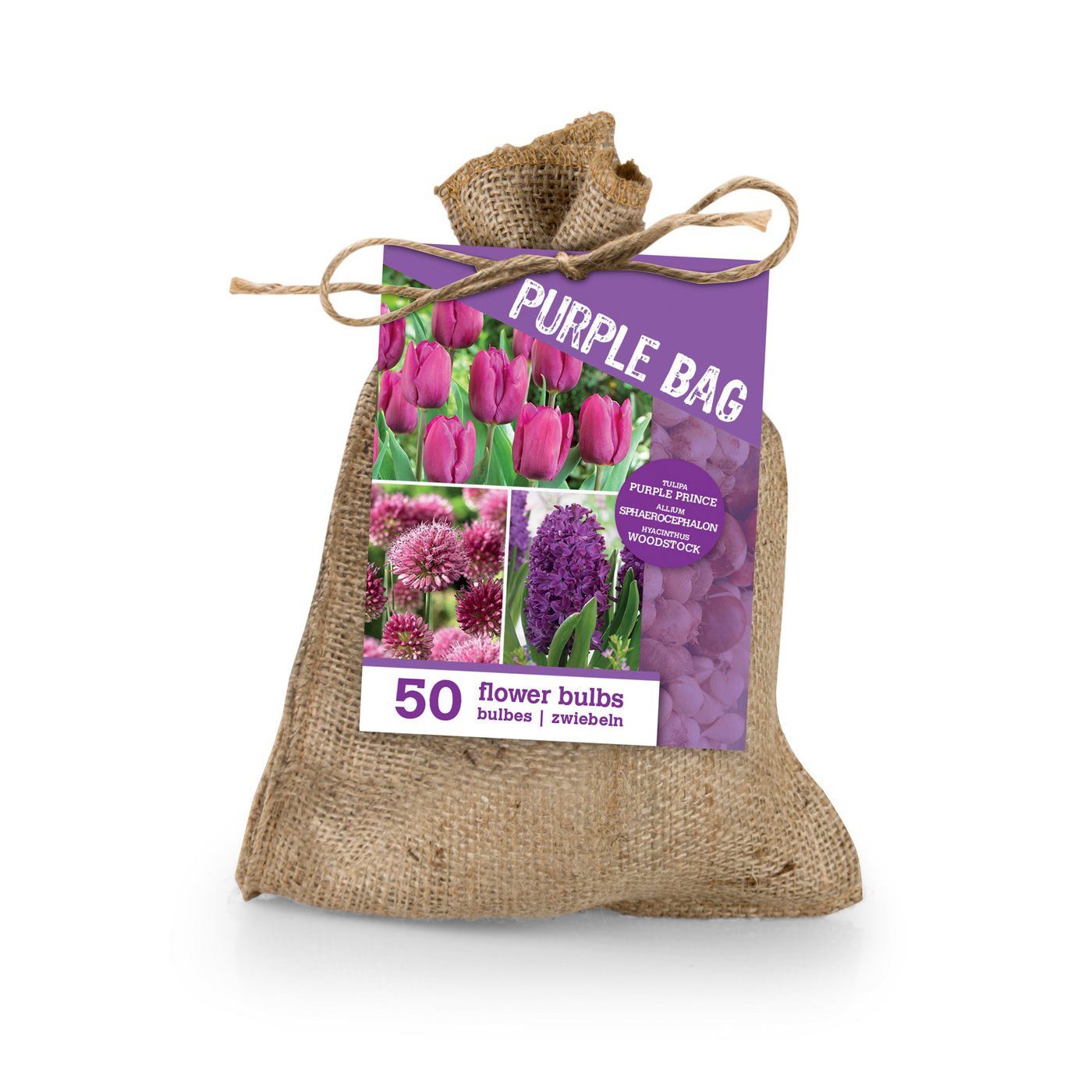 Bloomique Blumenzwiebeln Bloomique - 50er-Mix - The Purple Bag - Lila Mix - Tulpen, Hyazinthen, (50-St)