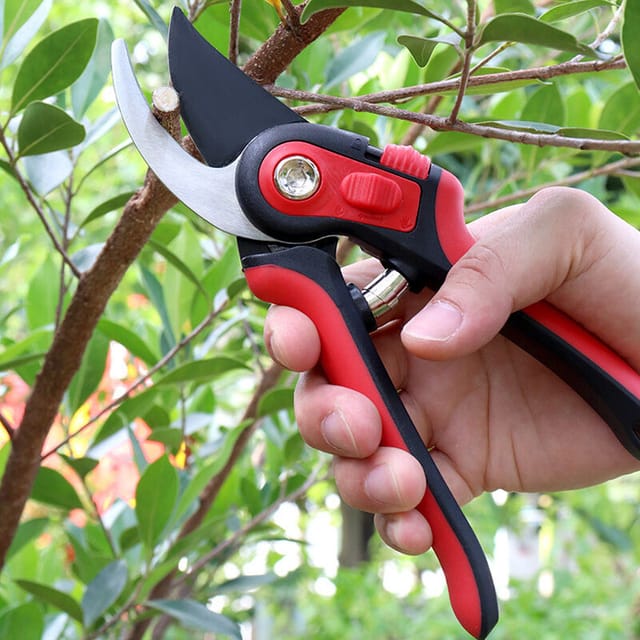 Gartenschere Aus Sk-5-legierungsstahl Für Obst Und Bonsai, Scharfe Klingen, Komfortables Schneidwerkzeug