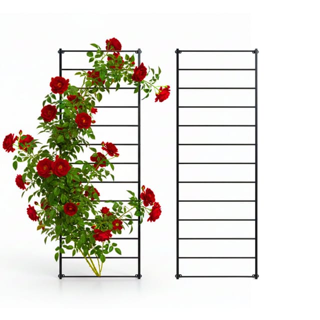 Relaxdays Rankgitter, 2er Set, Wandgitter Hxb: 210 X 76 Cm, Kletterpflanzen Rankhilfe, Wandbefestigung, Stahl, Schwarz