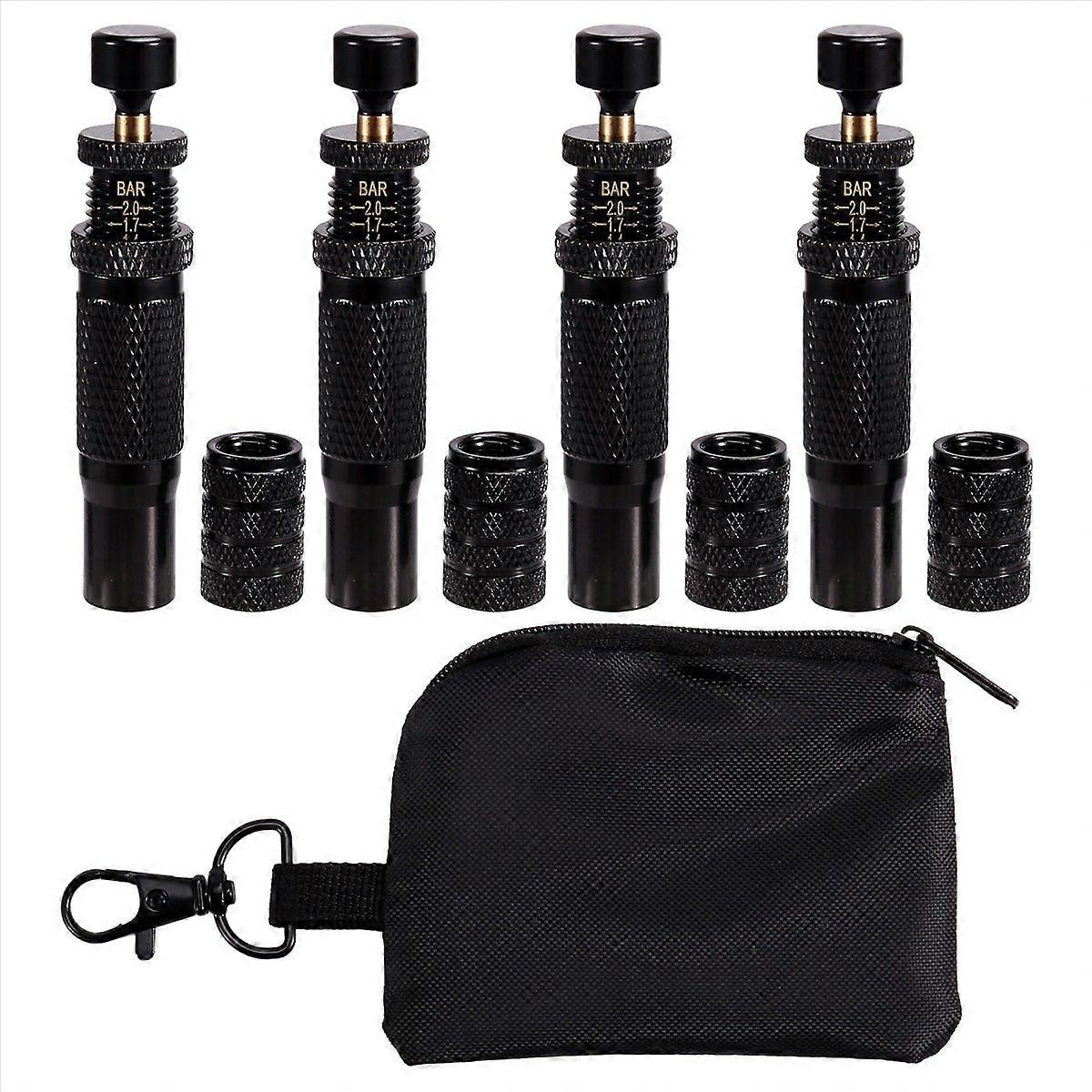 Einstellbares Set 10-30 Psi/0,7-2 Bar