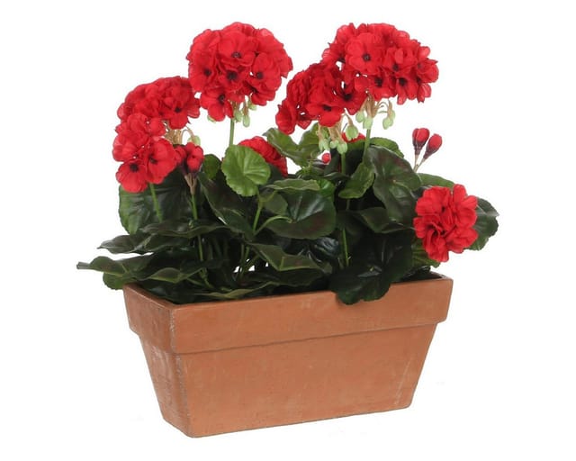 Geranium Pvc Rot In Balkonpflanzer 29x13x40cm