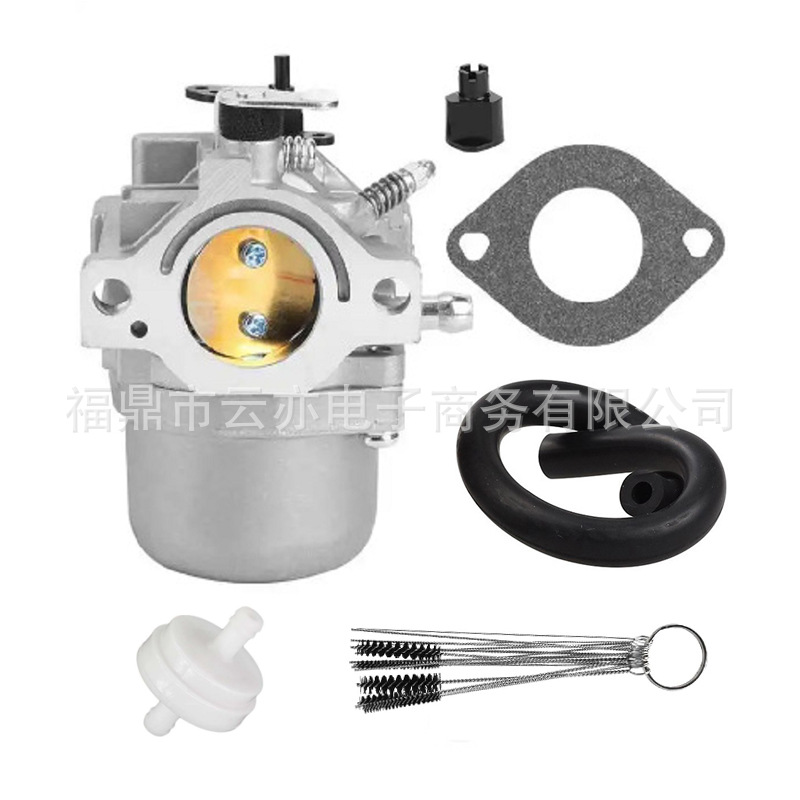 Vergaser Kompatibel Mit 494502 494392 496592 799728 498027 499161 498231