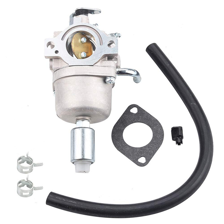 Vergaser Kompatibel Mit 591731 593514 594593 697141 697190 698445 790418