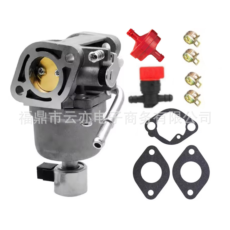 Vergaser Kompatibel Mit 697722 491026 4045a7 401577 406577 407577 699807