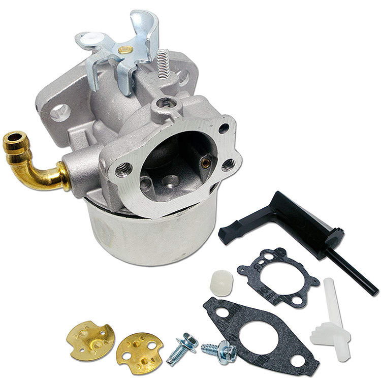 Vergaser Kompatibel Mit 798650 698474 791991 698810 698857 698478 693751