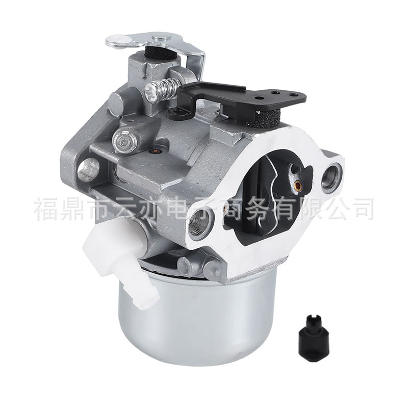 Vergaser Kompatibel Mit Briggs & Stratton 28m707 28r707 28t707 28v707 694941 699831
