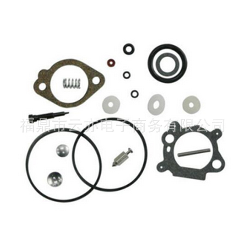 Vergaser-reparatursatz Kompatibel Mit Quantum 492495 493762 498260