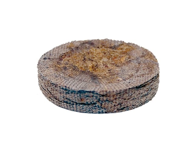 Prima Flora Kokosquelltabs Ø 3,5 Cm, 20 Stück Anzucht