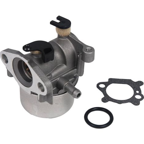 S-giant Vergaser Für Briggs & Stratton 799866 Ersetzt 796707 794304 Mit Dichtung