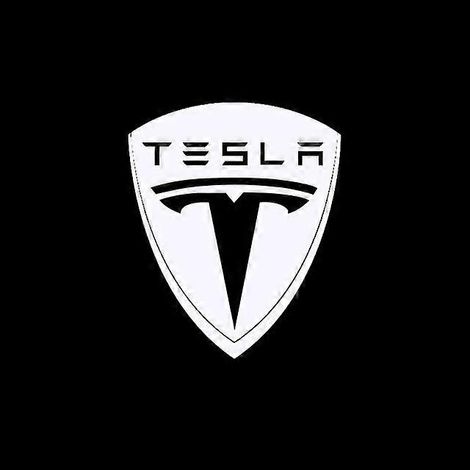 2 Stück Tesla-tür-led-projektor-willkommenslicht Für Tesla Model 3 X-modelle