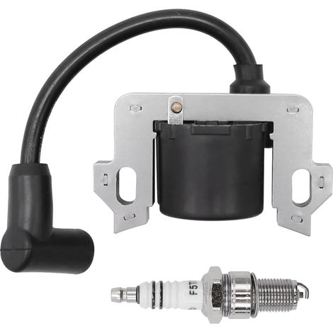 30500-zl8-004 Zündspule Mit Zündkerze, Motor-zündspule Ersatz Für Honda Gsv190 Gsv160 Gsv160 Gs190 Gs160 Gcv190 Gcv160 Gcv135 Gc190 30500-zl8-014