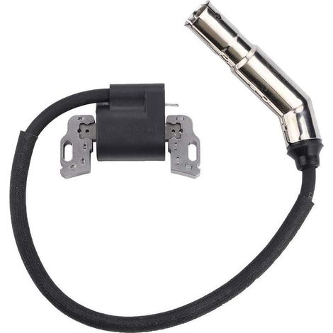 S-giant Zündspulen-magnetanker-ersatz Für Briggs & Stratton Motoren 592841 799650 595304 795315 21a807 21a877 21a902 21a907 21a907 21a907