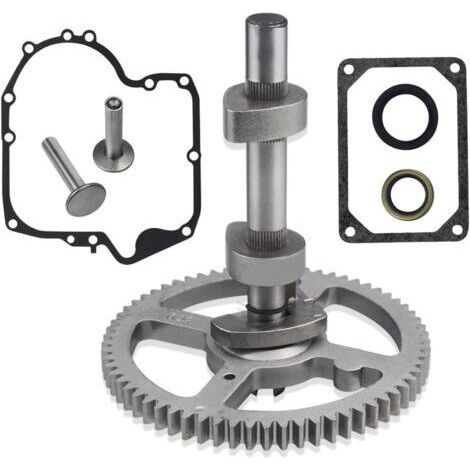 Für Briggs Stratton 793880 Nockenwelle 793583 792681 791942 795102 Dichtung 697110 H465