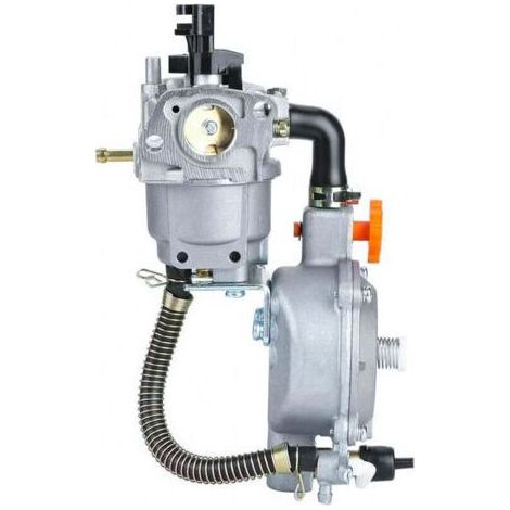 Gx160 Lpg Ng Vergaser 168f 170f 3kw 5kw Multi-fuel-flüssiggas-vergaser