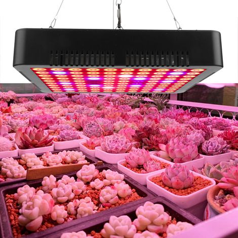 Gartenbaulampe, 300 W Gartenbaulampe 100 Leds Vollspektrum, Wachstumslampen Für Pflanzen, Zimmerpflanzenlampe