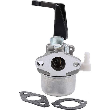Kompletter Vergaser Mit Montagedichtung – Kompatibel Mit Briggs & Stratton 696065