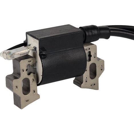 S-giant Motorstoppschalter 36100-ze1-015 36100-883-005 - Mit Zündspule - Für Honda Gx120 Gx160 Gx200, 5,5 Ps Und 6,5 Ps Motoren