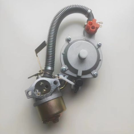 Vergaser-umbausatz, Kompatibel Mit Dual-fuel-lpg166 175l-h2700, Geeignet Für Benzinmotoren
