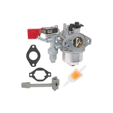 Professioneller Vergaser Kompatibel 799060, Wesentliche Komponente Für Vanguard Briggs & Stratton-motor Mit Referenz 84004885.