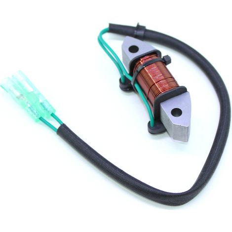 S-giant Beleuchtungsspule Für Yamaha 2-takt 25 Ps/30 Ps Außenbordmotor, Kompatibel Mit 61n-81313-09/61n-81313-00.