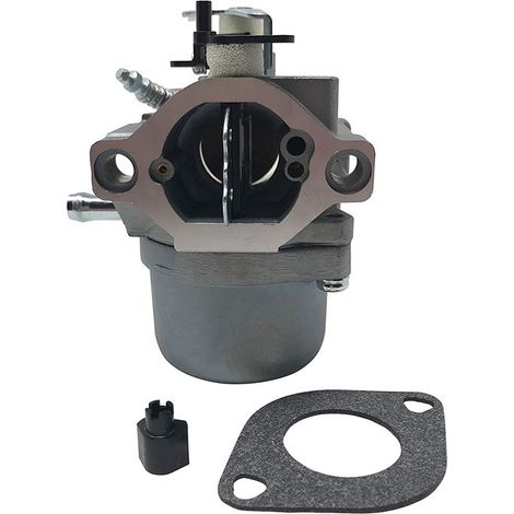 Vergaser 799728, Kompatibel Mit Briggs & Stratton 498027, 498231, 499161, 494502, Ersatzteil Für Rasenmähermotoren