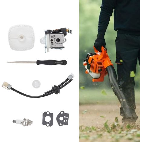 Vergaser-kit Für Echo Pb250ln Pb-250 Es250 Gebläse Mit Luftfilter, Kraftstoffleitungsregler, Tools-kzq
