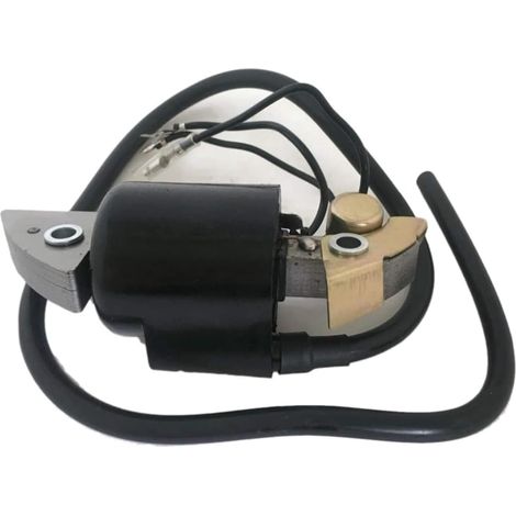 Zündspule Kompatibel Mit G150 G200 G300 F400 F500 Fr500 F600 Wt20 Pinne 30560-883-015 30500-887-303 Ersatzteile