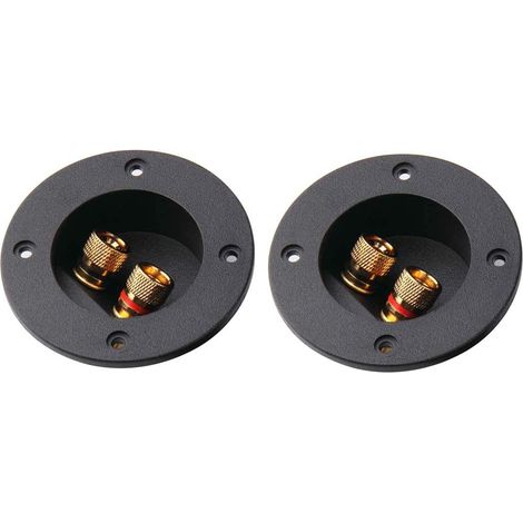 [french Days] 2-wege-lautsprecherklemmenblock, Lautsprecherklemmenblock, 2 Stück Lautsprecherklemmen-bindungspfosten Für Subwoofer-stecker, Kabelklemmen