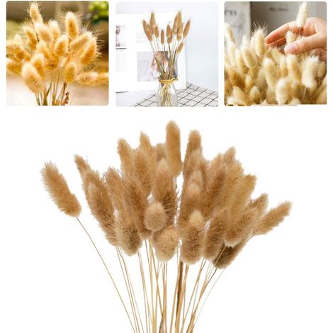 60 Stück 40 Cm Natürliche Getrocknete Blumen Pampasgras, Kaninchenschwanzgras Blumenstrauß Für Schlafzimmer Innen Hochzeit Heimdekoration-fei Yu