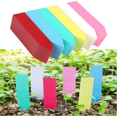 600 Stück Pflanzenetiketten, Wasserdichte Kunststoff-gartenetiketten, Kunststoff-pflanzenetiketten, 6 Farben Pflanzenmarkierungsetiketten, Für Kindergarten, Samen Und Gras