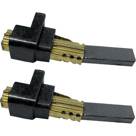2 Stück Motorkohlebürste 6,5 X 11 X 32 Mm, Teile Für Lg Staubsauger.