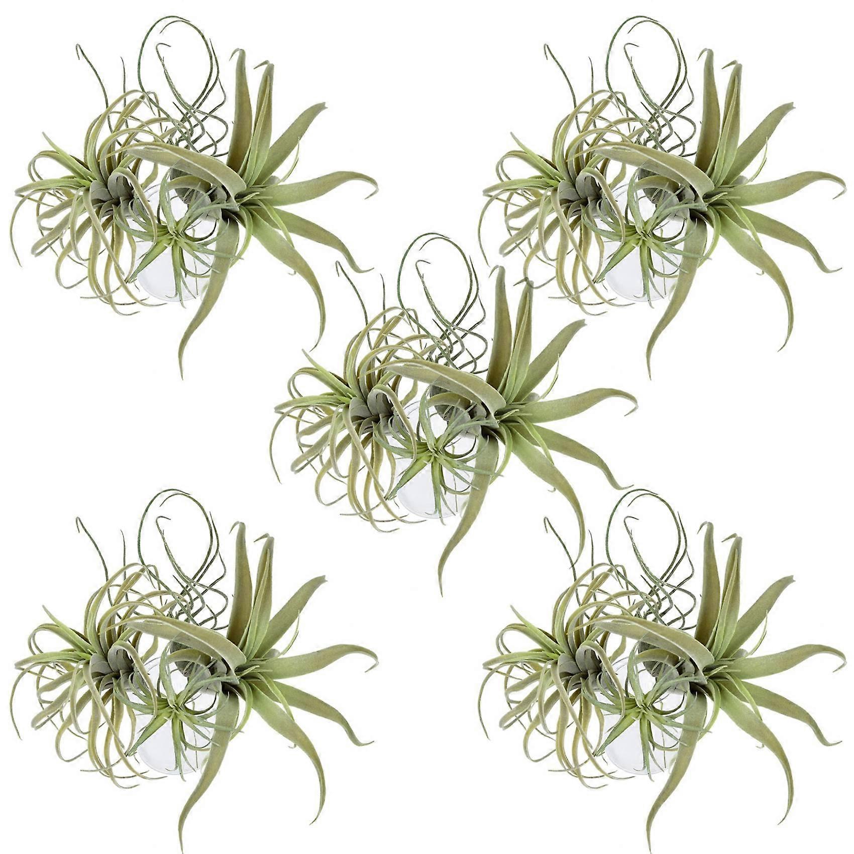 Lot De 20 Plantes Aériennes Artificielles En Forme D'Ananas, Fausses Fleurs Floquées, Tillandsias Et Broméliacées, Décoration Pour La Maison Et Le Jardin