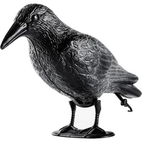Anti-tauben-krähe, Für Balkone, Dächer, Gärten, Krähe, Anti-tauben Für Balkone, Vogelabwehrmittel, Verhindern, Dass Vögel Stören, Aus Hochwertigem Pe, 1 Stück
