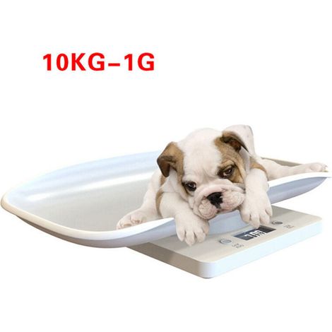 Digitale Personenwaage Für Babys Oder Haustiere Bis Zu 10 Kg, Weiße Waage