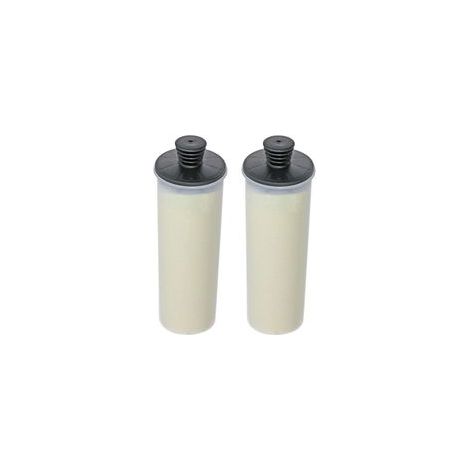 Set Mit 2 Entkalkungsfilterkartuschen, Kompatibel Mit Den Dampfreinigern Kärcher Sc3, Sc3mx Und Easyfix