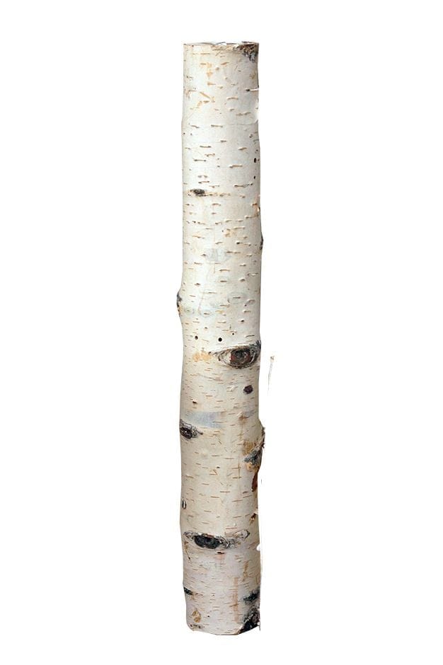 Birkenholzsticks 100% Natur 40 Cm Kisten- Und Palettenmöbel