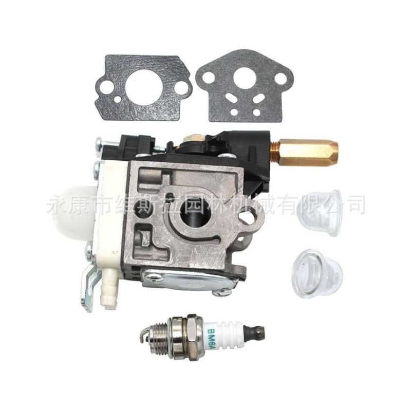 Vergaser Hca-265 Pas-265 Pe-265 Pe-265s Ppt-265 Srm265