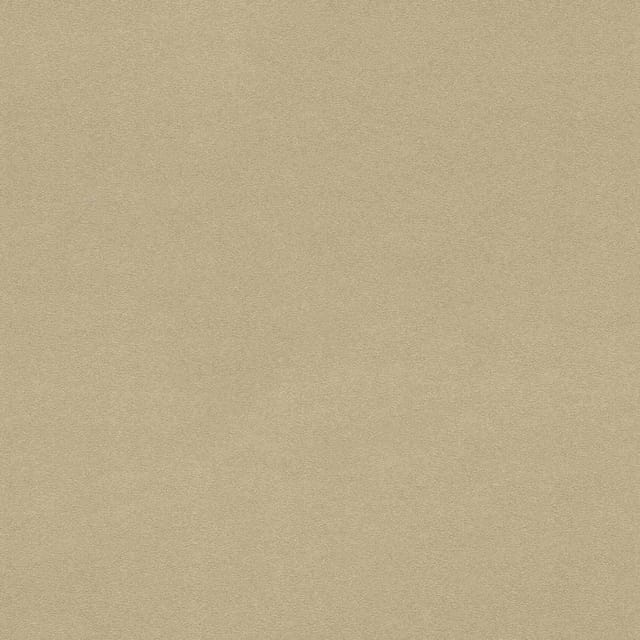 Dle Prima 20234005 - Dle