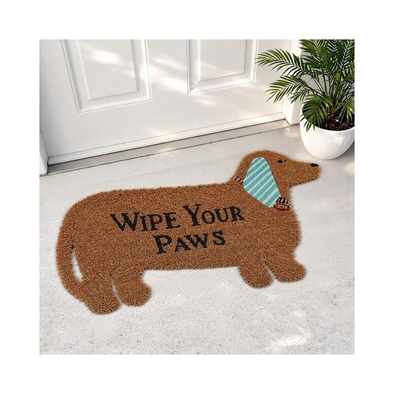 Paillasson Tapis Entree Antidérapant 40×60cm