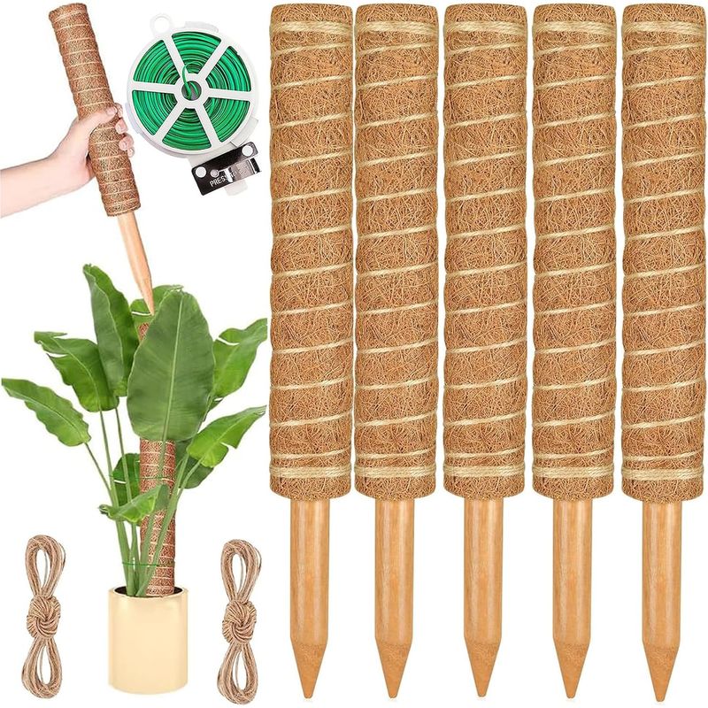 Unterstützung Für 40-cm-grimpants-pflanzen – Großes Holz Und Natürliches Mousse Für Monstera, Pothos Und Philodendron