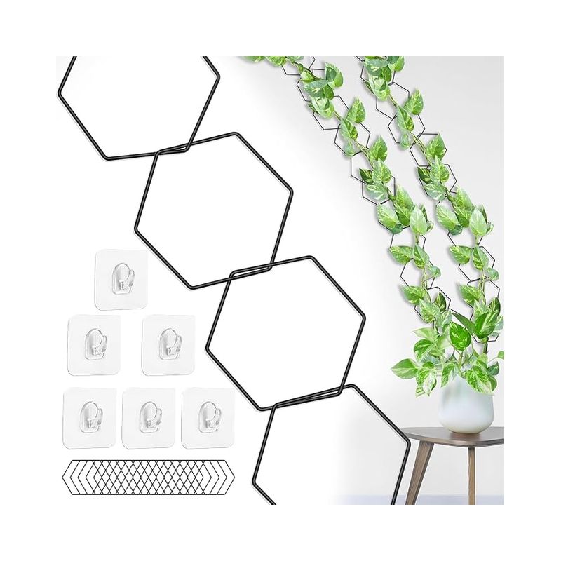 Kettenrankgitter Für Kletterpflanzen – Wandmontage Für Efeutute, Monstera, Hedera – Zimmerpflanzen