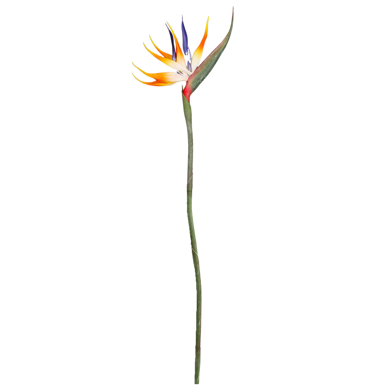 Künstliches Blumenarrangement Mit Paradiesvogel Und Dickkopffalter, Innendekoration