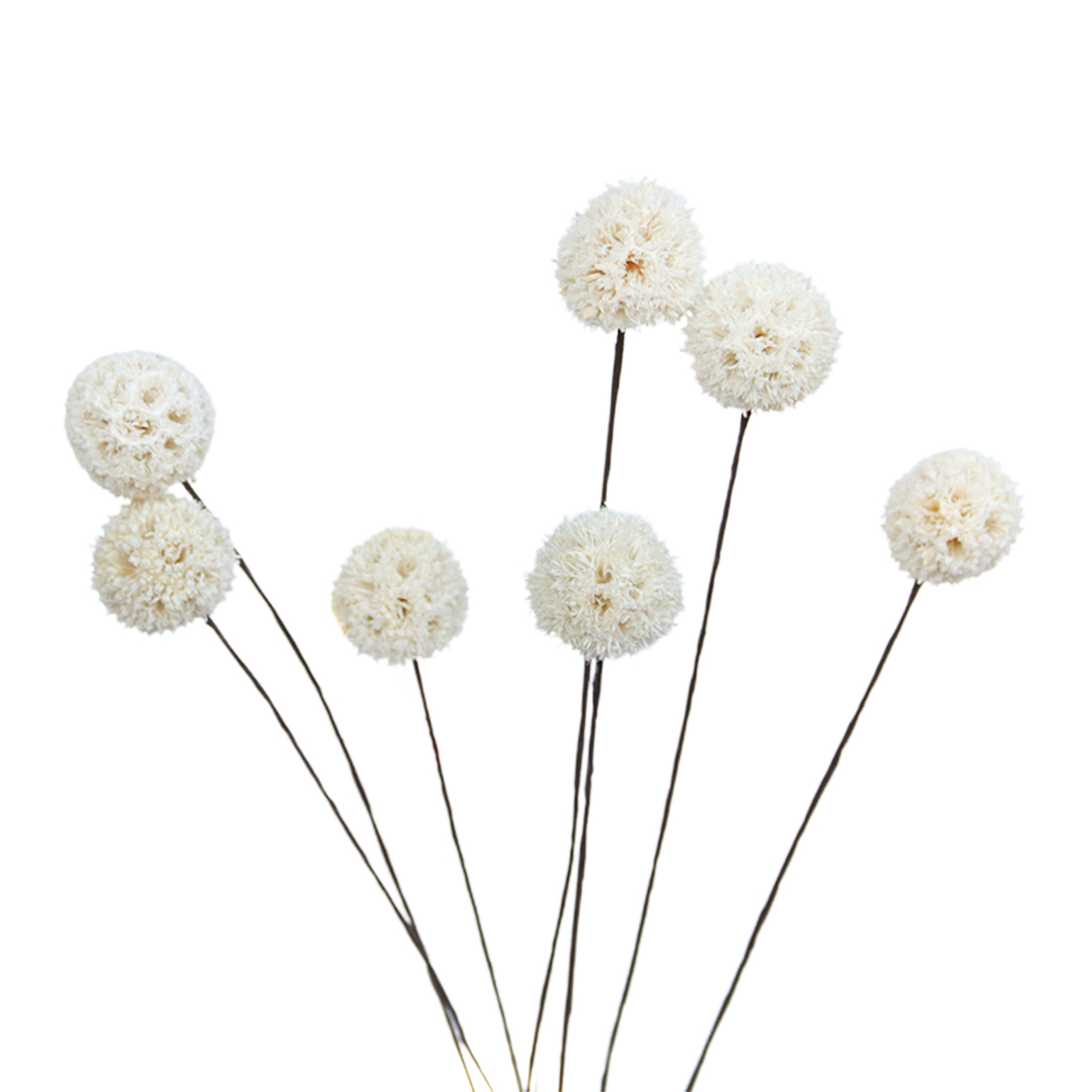 Billy Ball Blumen, Trockenblumen, Künstliche Trockenblumen, Dekoration Für Haus Und Garten