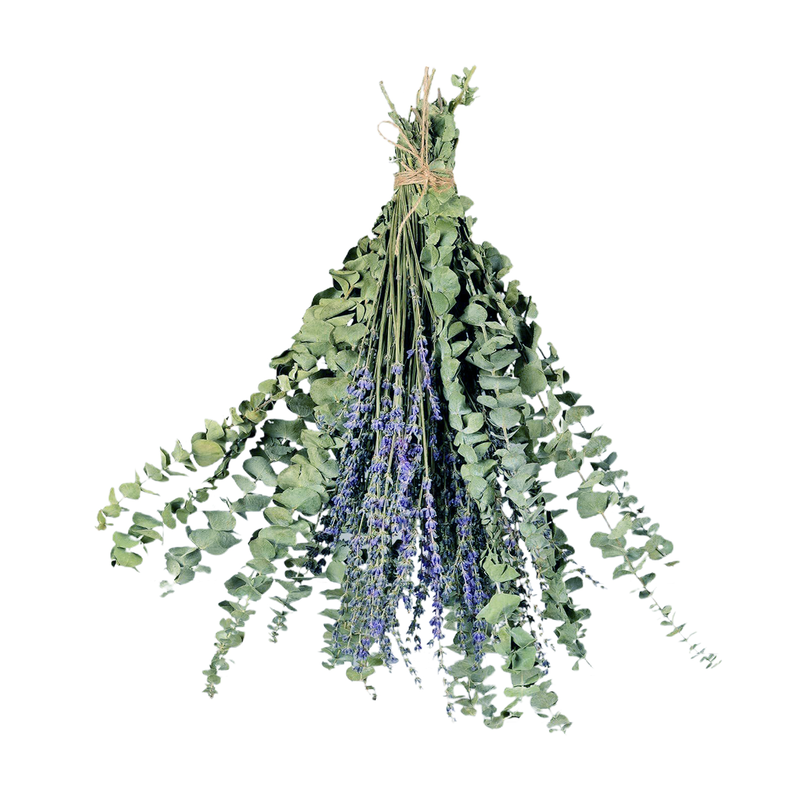 Getrocknete Eukalyptus- Und Lavendelzweige, 38 Cm Lang, Konservierte, Echte Grünpflanzen, Blätter Und Zweige, Zum Aufhängen In Der Dusche, Als Vasenfüller Oder Zur Dekoration Ihres Zuhauses
