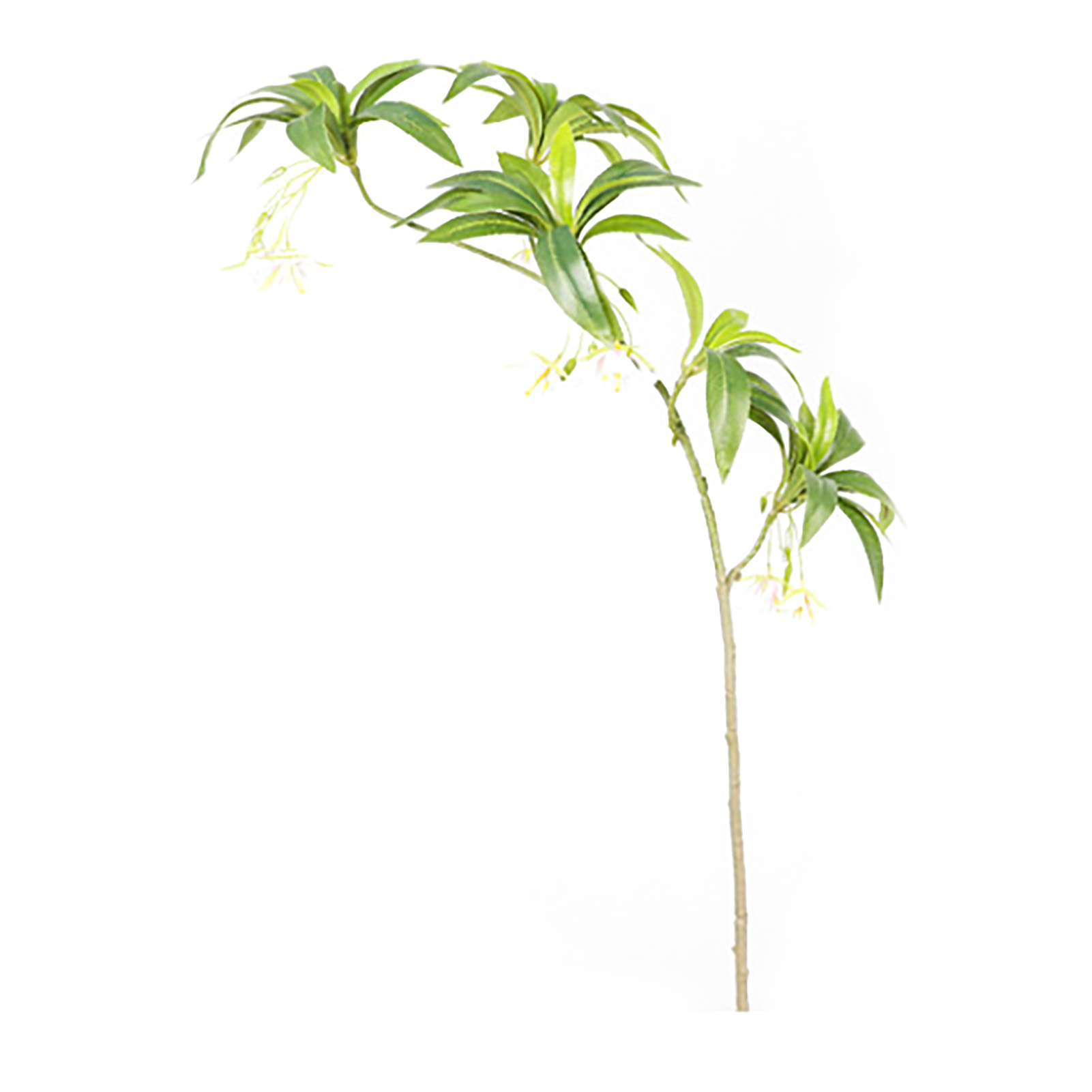 Künstliche 3d-hainan-elaeocarpus-pflanzen Mit 5 Ästen Und Langen Stämmen, Ideal Zur Dekoration Von Wohnungen, Geschäften, Büros, Partys Und Hochzeiten.