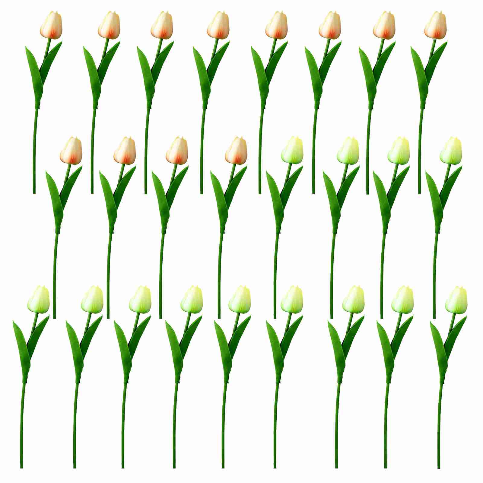 Künstliche Plastiktulpen, Unechte Tulpen Für Hochzeiten, Heim- Oder Hoteldekoration: 12 Champagnerfarbene Tulpen Und 13 Hellgrüne Tulpen.